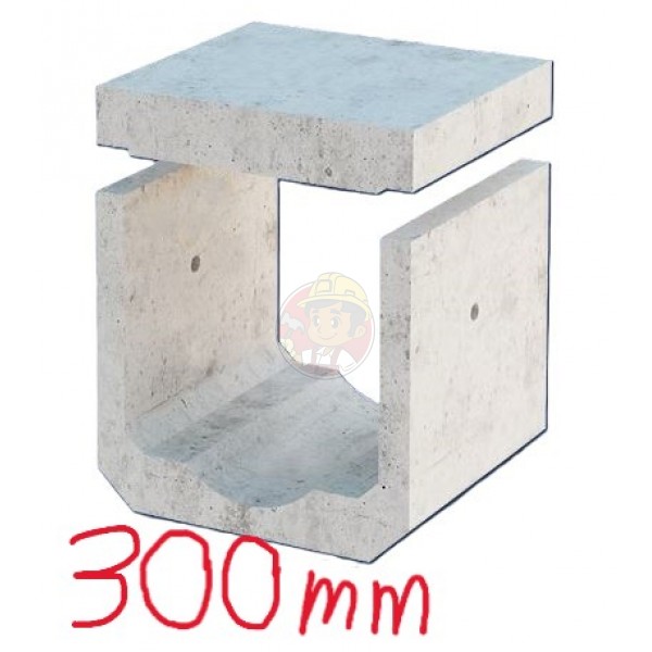 BOX CULVERT 300 X 300 MM (WITH DWF)